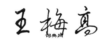 駱恆光王梅高行書個性簽名怎么寫