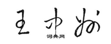 駱恆光王中州草書個性簽名怎么寫