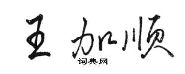 駱恆光王加順行書個性簽名怎么寫