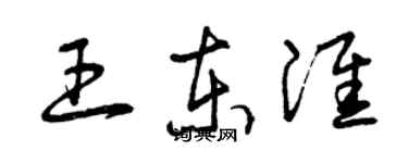 曾慶福王東淮草書個性簽名怎么寫