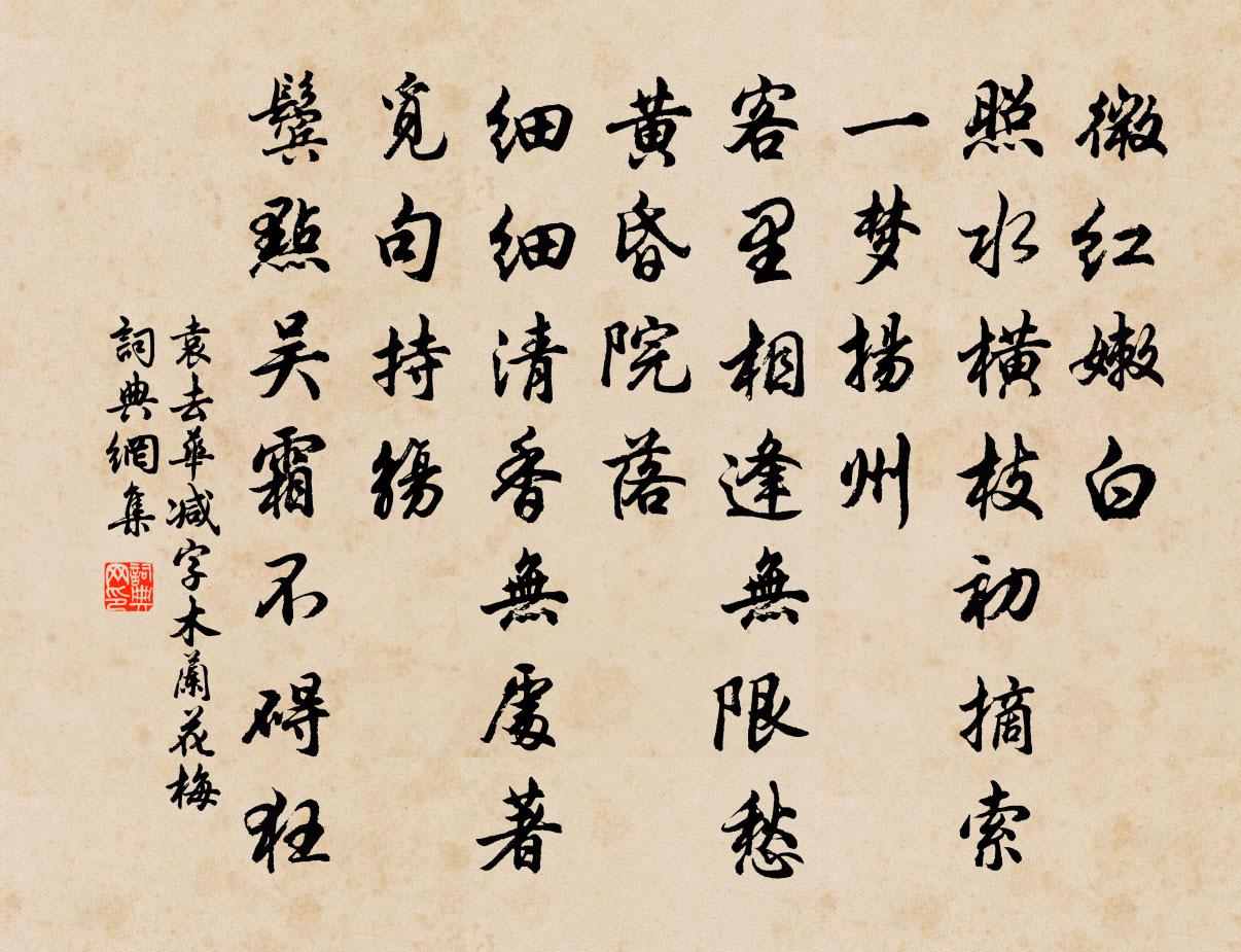 袁去華減字木蘭花(梅)書法作品欣賞