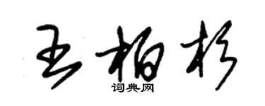 朱錫榮王柏杉草書個性簽名怎么寫