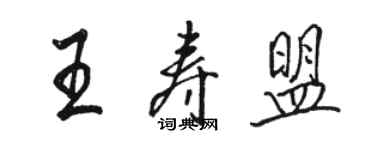 駱恆光王壽盟行書個性簽名怎么寫