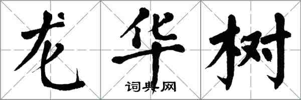 翁闓運龍華樹楷書怎么寫