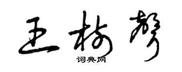曾慶福王樹聲草書個性簽名怎么寫