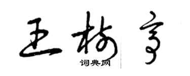 曾慶福王樹亭草書個性簽名怎么寫