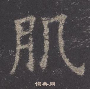 歐陽詢九成宮醴泉銘中肌的寫法