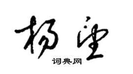 梁錦英楊望草書個性簽名怎么寫