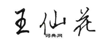 駱恆光王仙花行書個性簽名怎么寫