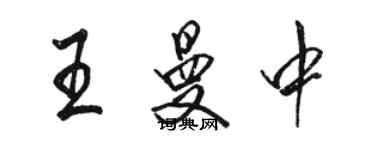 駱恆光王曼中行書個性簽名怎么寫