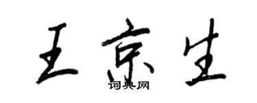 王正良王京生行書個性簽名怎么寫