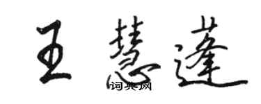 駱恆光王慧蓬行書個性簽名怎么寫