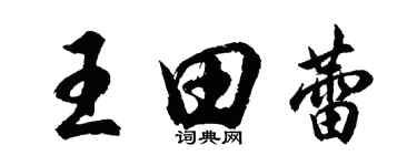 胡問遂王田蕾行書個性簽名怎么寫