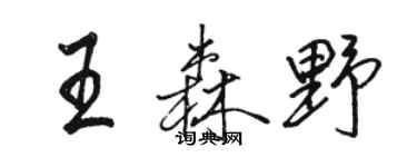 駱恆光王森野行書個性簽名怎么寫