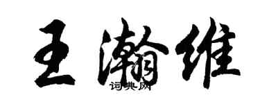胡問遂王瀚維行書個性簽名怎么寫