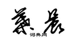 朱錫榮葉晨草書個性簽名怎么寫