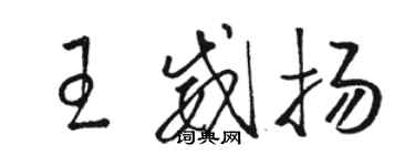 駱恆光王威揚草書個性簽名怎么寫