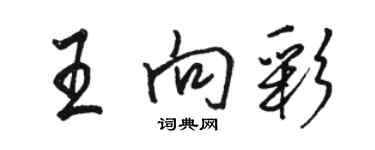 駱恆光王向彩行書個性簽名怎么寫