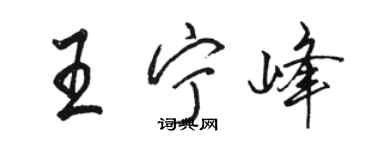 駱恆光王寧峰行書個性簽名怎么寫