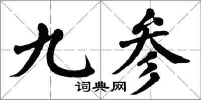 翁闓運九參楷書怎么寫