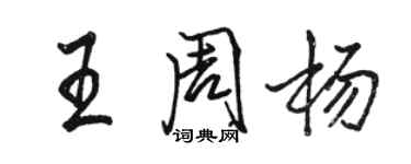 駱恆光王周楊行書個性簽名怎么寫