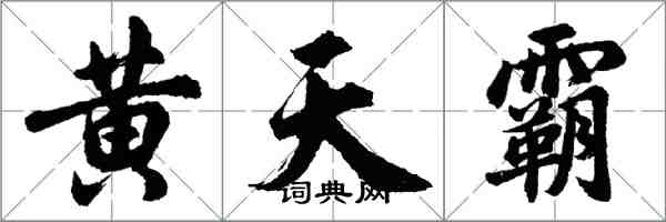 胡問遂黃天霸行書怎么寫