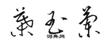 駱恆光葉玉蘭草書個性簽名怎么寫