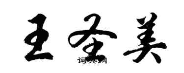 胡問遂王聖美行書個性簽名怎么寫