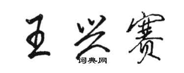 駱恆光王興賽行書個性簽名怎么寫