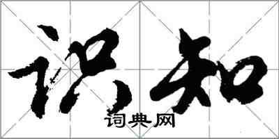 胡問遂識知行書怎么寫