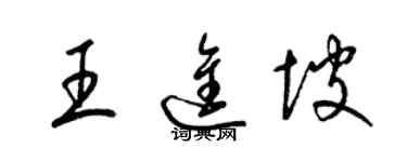 梁錦英王進坡草書個性簽名怎么寫