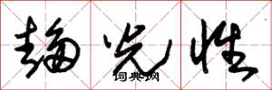 朱錫榮趨光性草書怎么寫