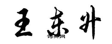 胡問遂王東升行書個性簽名怎么寫