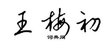 梁錦英王梅初草書個性簽名怎么寫