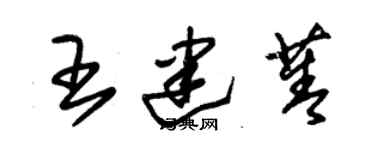 朱錫榮王建菁草書個性簽名怎么寫