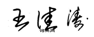 朱錫榮王佳濤草書個性簽名怎么寫