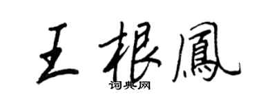 王正良王根鳳行書個性簽名怎么寫