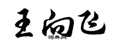 胡問遂王向飛行書個性簽名怎么寫