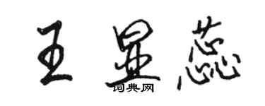 駱恆光王顯蕊行書個性簽名怎么寫