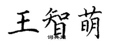 丁謙王智萌楷書個性簽名怎么寫