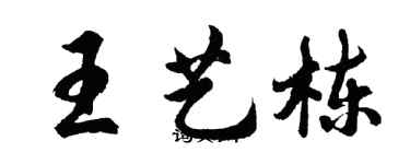 胡問遂王藝棟行書個性簽名怎么寫