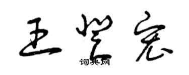 曾慶福王登宏草書個性簽名怎么寫