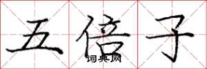 龐中華五倍子楷書怎么寫