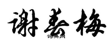 胡問遂謝春梅行書個性簽名怎么寫