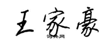 王正良王家豪行書個性簽名怎么寫