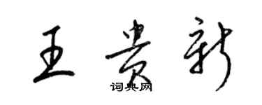 梁錦英王貴新草書個性簽名怎么寫