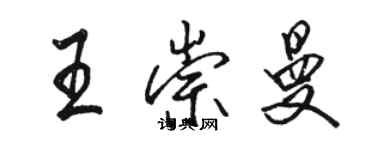 駱恆光王崇曼行書個性簽名怎么寫