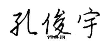 王正良孔俊宇行書個性簽名怎么寫