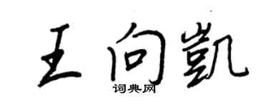 王正良王向凱行書個性簽名怎么寫