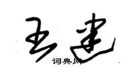 朱錫榮王建草書個性簽名怎么寫